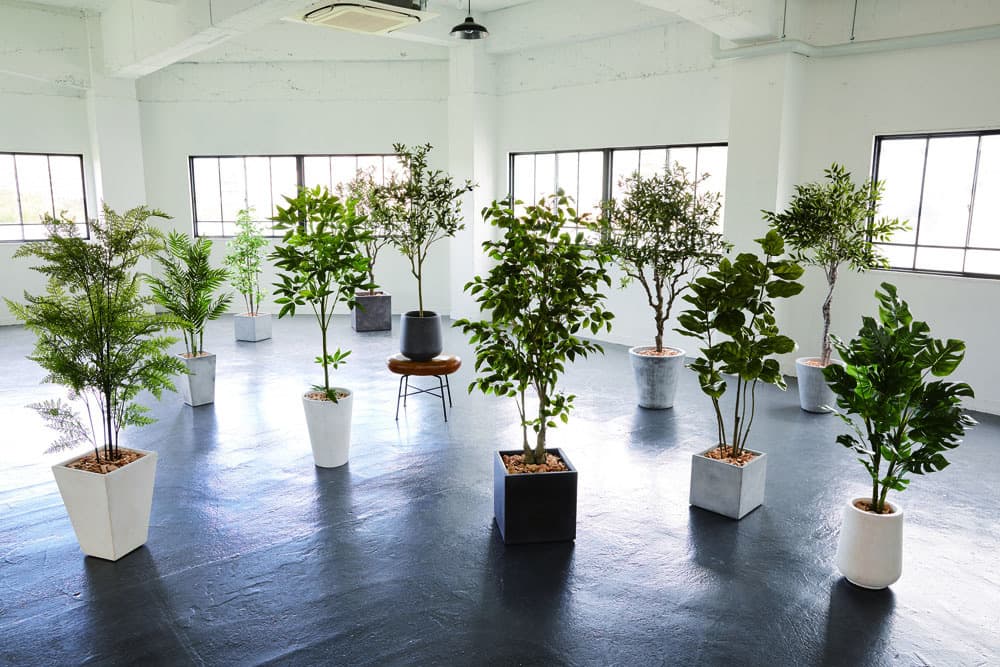 wg interior green plants planter TERRAMENT